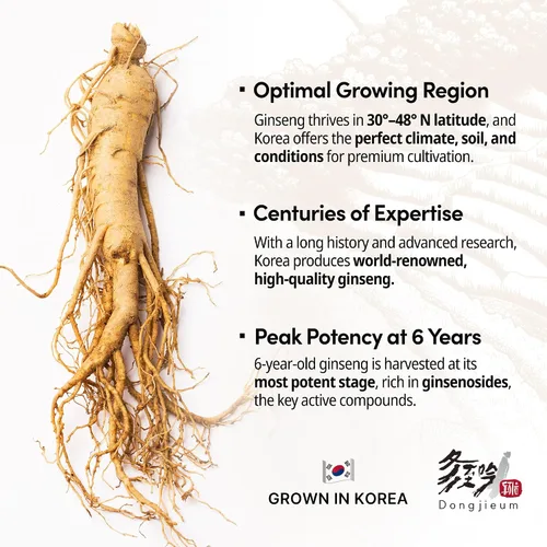 Vista 5 de Ginseng rojo coreano (raíz de 6 años) (ginsenósido mejorado) 120 cápsulas veganas