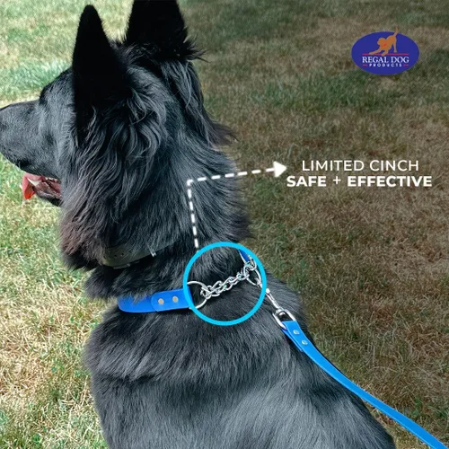 Vista 5 de Regal Dog Products Collar Martingale para perros – Collar impermeable de bioano para perros pequeños, medianos y grandes – Cadena resistente