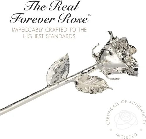 Vista 5 de Forever Rose - Rosa real sumergida en plata, rosa preservada hecha a mano en jarrón de corazón acrílico y lujosa caja de regalo dorada, regalo