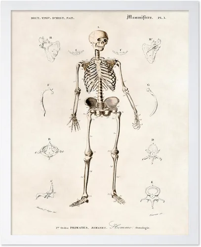 Vista 31 de Poster Master Póster de fotografía vintage, impresión gótica retro, regalo para artista, amigo, Halloween, familia espeluznante, disfraz extraño