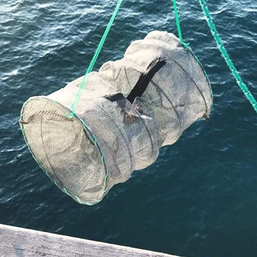 Vista 6 de Trampa de cebo de pesca, 2 paquetes de trampa para cangrejos, trampa para cangrejos, trampa para cangrejos, langosta y camarones, redes de pesca