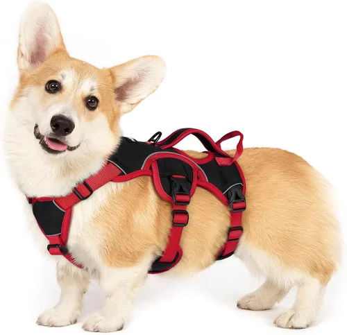 Vista 12 de rabbitgoo Arnés de perro a prueba de escape para pequeños, sin tirones con Negro