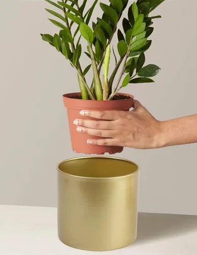 Vista 8 de Vixdonos Macetas de Metal para Flores Maceteros de Jardín Contenedores Redondos para Suculentas de Interior, Paquete de 2 Macetas para Cactus