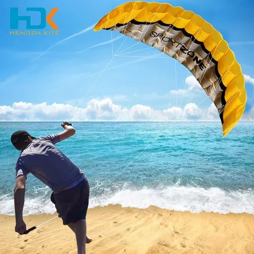 Vista 2 de HENGDA KITE 2.5m Dual Line Kites Adults Soft Stunt Parafoil Kite