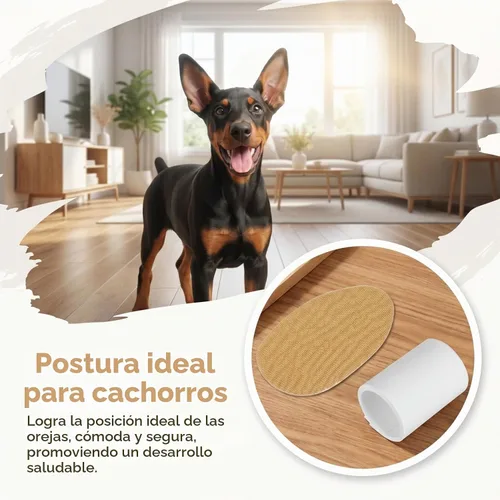 Vista 2 de SUPVOX 1 par de herramientas de soporte para orejas de perro: kit de publicación de orejas con cinta y calcomanías para Doberman Corgi y más - Ayuda