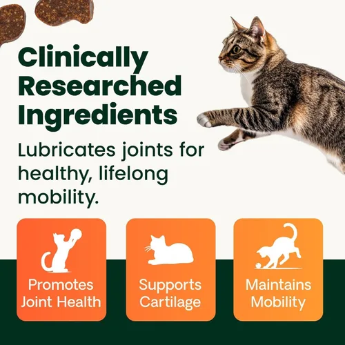 Vista 5 de VetriScience Laboratories GlycoFlex 3, Suplemento para cadera y articulaciones de gatos, 60 pastillas de tamaño masticable