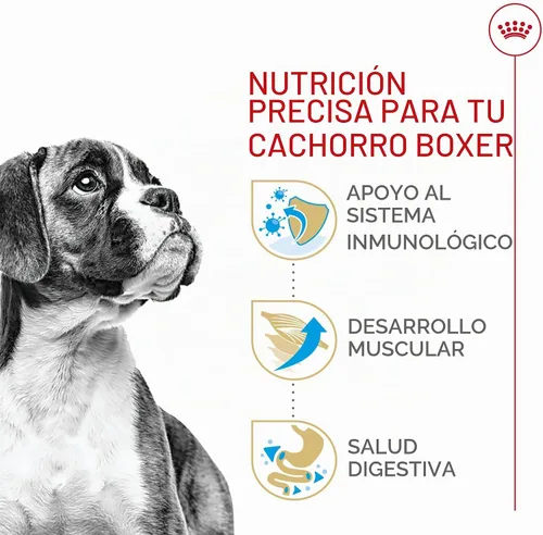 Vista 4 de ROYAL CANIN Boxer Puppy - Alimento seco para perros, bolsa de 30 libras
