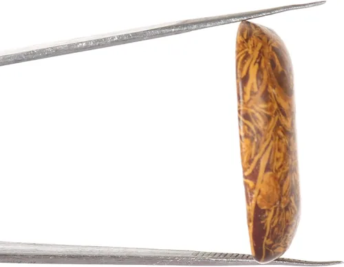 Vista 3 de GEMHUB Natural Jasper Oval Cabochon Brown Color 24.65 CT. Healing Crystal Loose Gemstone Perfect for Pandent Making
