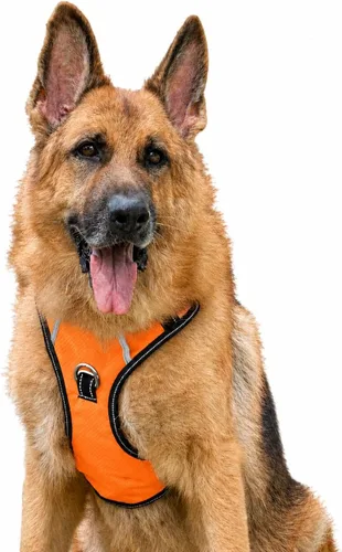 Vista 16 de Arnés antitirones para perro pequeño con 2 hebillas de liberación rápida y mango de fácil control, chaleco suave reflectante sin estrangulamiento