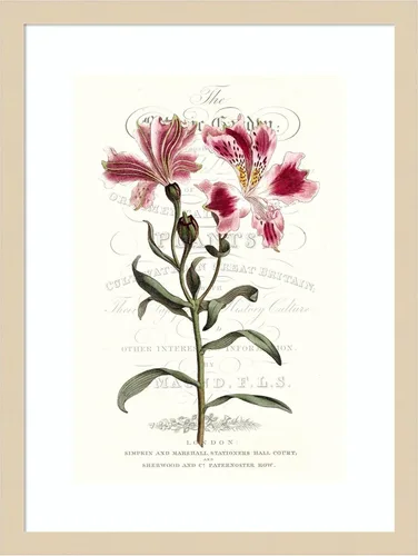 Vista 18 de Amanti Art Vision Studio - Lienzo decorativo para pared, 24 x 18 pulgadas, varietales de jardín de flores, arte de pared de flores, decoración