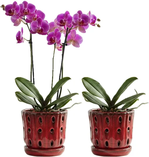 Vista 11 de Macetas para Orquídeas de 4.9 Pulgadas Macetas de Cerámica para Orquídeas con Agujeros Juego de 2 (verde musgo+blanco)