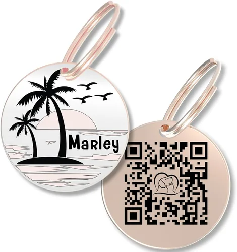 Vista 9 de PawFurEver Placa para perro con código QR – Etiquetas de identificación personalizadas para perros, etiqueta de perro grabada y etiqueta para Oro