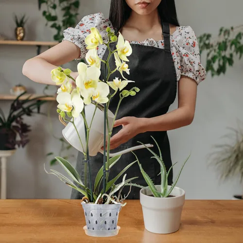 Vista 9 de Orchid Pots 2 Sets with Saucers, Plastic Root Control Planters
