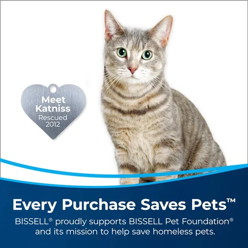 Vista 3 de Bissell Woolite Advanced - Removedor de manchas y olores para mascotas + desinfectante, 11521 (22 onzas líquidas)
