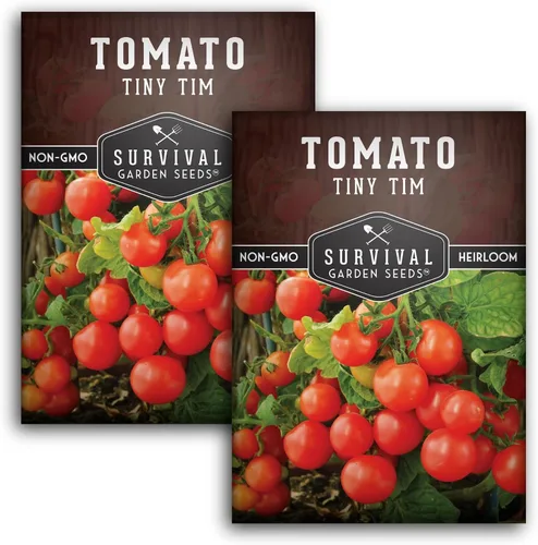 Vista 10 de Tiny Tim Semillas de tomate – Tomates cherry enanos para plantar en interiores o patio, variedad de reliquia compacta para contenedores, alto