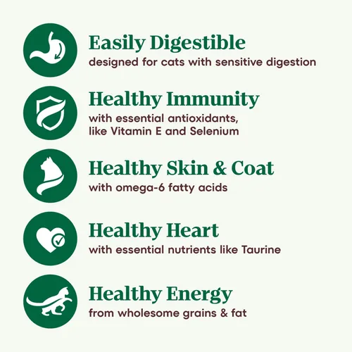 Vista 5 de Nutro Wholesome Essentials - Alimento seco natural para gatos, receta de estómago, pollo, arroz y guisantes, croqueta para gatos, bolsa de 3 libras