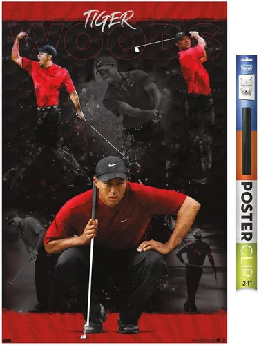 Vista 17 de Trends International Tiger Woods - Póster de pared de bosquejo, 14.725 x 22.375 pulgadas, versión enmarcada de madera de granero