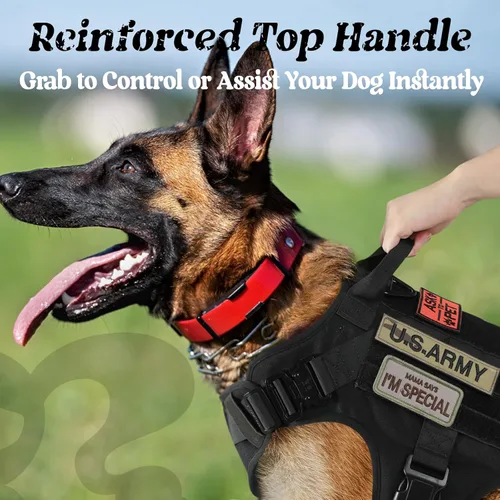 Vista 5 de rabbitgoo - Arnés táctico para perros pequeños, arnés resistente para mascotas con asa, chaleco de servicio sin tirones para razas pequeñas, chaleco
