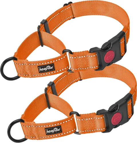 Vista 21 de Haapaw Collar de perro Martingala a prueba de escapes, beige, S