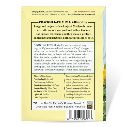 Vista 4 de The Old Farmer's Almanac Semillas de caléndula (mezcla de crackerjack) – Aproximadamente 400 semillas de flores – Premium sin OMG, polinizadas