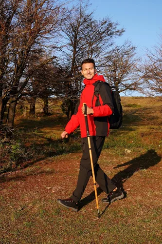 Vista 7 de FOREST PILOT Bastón de trekking – 1 unidad de madera de sasafrán ajustable y desmontable para senderismo o bastón