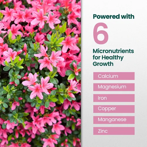 Vista 4 de Fertilizante de azalea de 16 onzas para exteriores, hace 16 galones de alimento vegetal de azalea, fertilizante líquido para plantas amantes