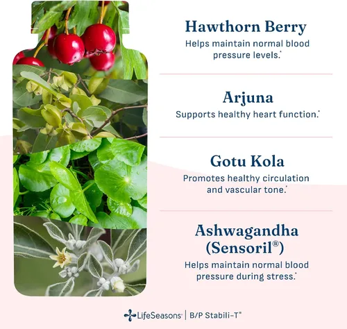 Vista 4 de LifeSeasons B/P Stabili-T - Apoya la salud cardiovascular y la circulación de la sangre - con Ashwagandha, baya de espino - 120 cápsulas