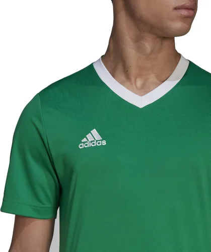 Vista 4 de adidas Maillot Entrada 22 Hombre