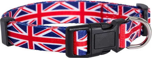 Vista 6 de Native Pup Collar de perro con bandera de Chicago (Chicago, S)