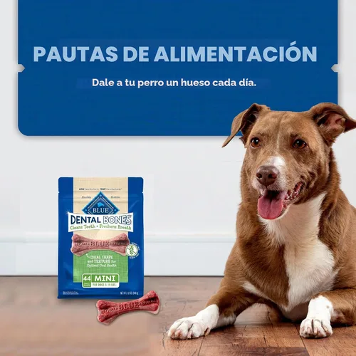Vista 8 de Blue Buffalo Dental Bones - Mini golosinas dentales naturales para masticar para perros, (5-15 libras) bolsa de 12 onzas