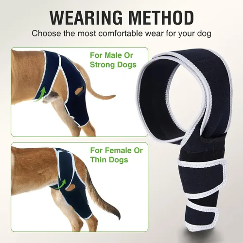 Vista 6 de Rodillera para perros pequeños, estabilidad de rodilla y soporte activo, talla S Provides comfortable knee support for dogs with joint weakness