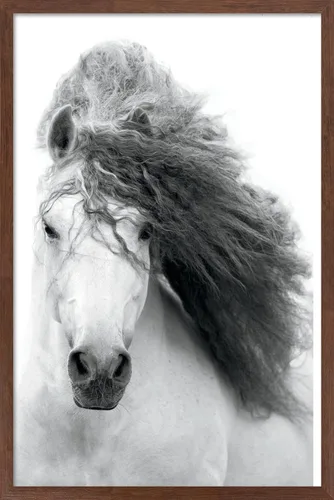 Vista 16 de Trends International Póster de pared de caballo en escala de grises, 14.725 x 22.375 pulgadas, versión enmarcada de madera de granero Versión