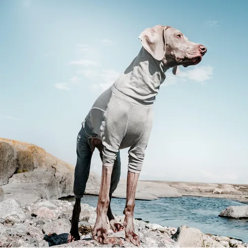 Vista 4 de Hurtta Calentador Corporal para Perro, Traje de Recuperación, Gris Carbón, 18M