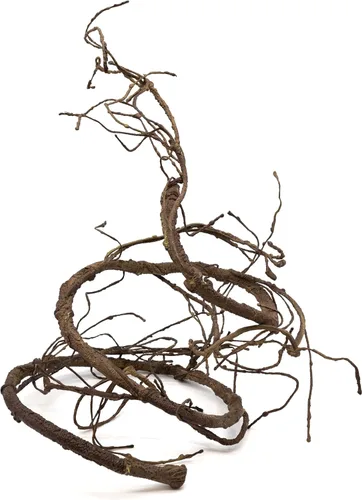 Vista 5 de Pangea Reptile Ultimate Vine para el hábitat del terrario (marrón) Vid de espuma de gran diámetro de 6 pies para recintos de reptiles, flexibles
