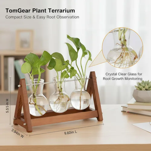 Vista 2 de Terrario para plantas con soporte de madera, jarrón de vidrio de 3 bombillas, soporte de metal, maceta hidropónica retro para decoración de hogar