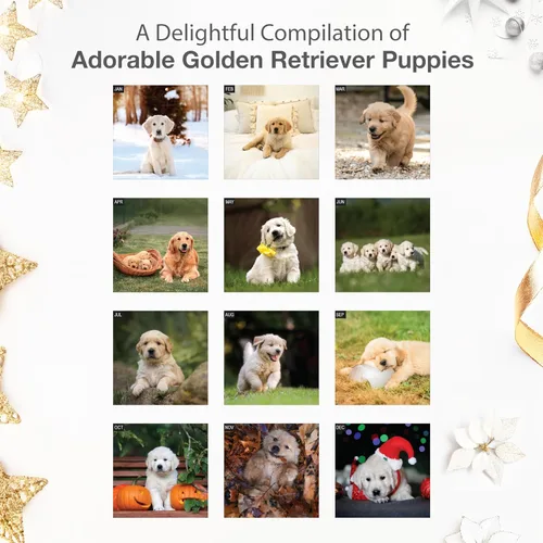 Vista 3 de RED EMBER Golden Retriever Puppies - Calendario de pared 2026 de 12 meses 12 x 24 pulgadas abierto Papel grueso y resistente Regalo