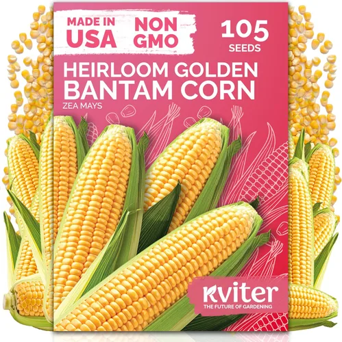 Vista 31 de KVITER 250 Marketmore - 76 semillas de pepino (Cucumis Sativus) – Rebanar semillas de pepino, sabor dulce, paquetes de semillas sin OMG – Semillas