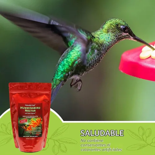 Vista 3 de Polvo de néctar de colibrí naturalmente fresco con defensor de néctar