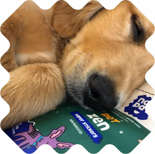 Vista 6 de NATPAT Pet Zen - Parches calmantes para perros – Alivio eficaz del estrés sin medicamentos para viajes, fuegos artificiales y ansiedad por