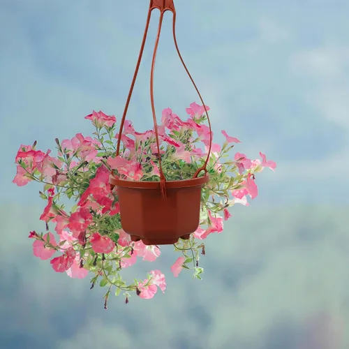 Vista 2 de DOITOOL Macetas colgantes de plástico con gancho para plantas Chlorophytum Octogonal Ventilado Root Plantador para Balcón Jardín Decoración
