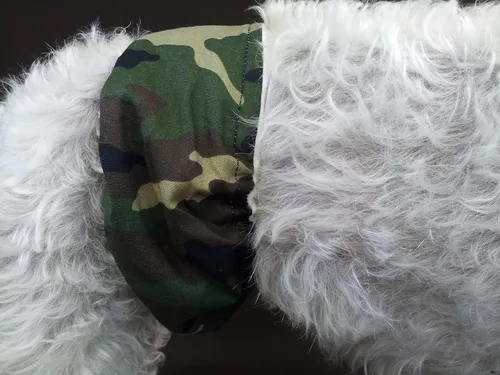 Vista 2 de Pañal lavable para el vientre, se adapta a perros pequeños, camuflaje