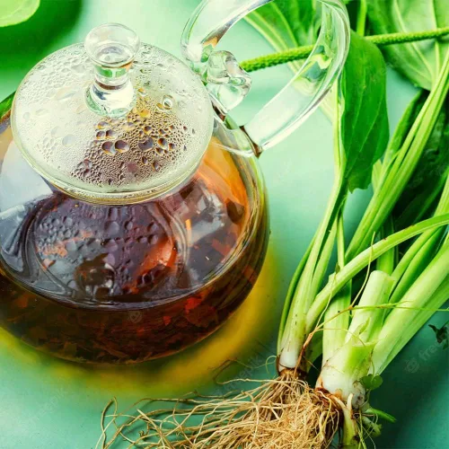 Vista 7 de 500 semillas de plátano de hoja ancha Plantago Major Semillas de plantas médicas orgánicas sin OMG para jardín privado de rápido crecimiento bajo