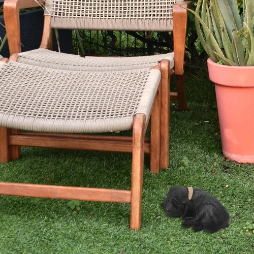 Vista 8 de Baluue Oculta una llave afuera, ocultador de llave de repuesto para perro negro, resistente a la intemperie, de resina segura, caja