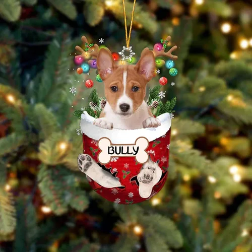 Vista 131 de IZI POD Affenpinscher Adorno de Navidad personalizado para perro, adorno de bolsillo de nieve para perro para árbol de Navidad, adorno acrílico