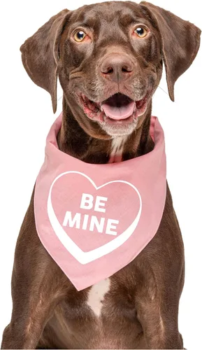 Vista 2 de Be Mine - Bandana de corazón para perro 100% algodón triángulo ajustable Fabricado en Estados Unidos Día de San Valentín Amor y corazones
