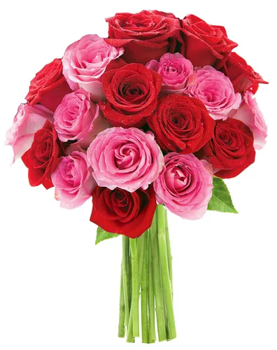 Vista 45 de KaBloom - Rosas arcoíris (media docena)- Flores frescas para cumpleaños, San Valentín y Día de la Madre