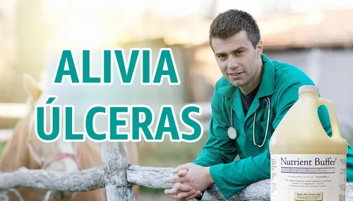 Vista 3 de (1 galón) Alivio de úlcera y ácido, ayuda digestiva, soporte gástrico superior, remedio cólico