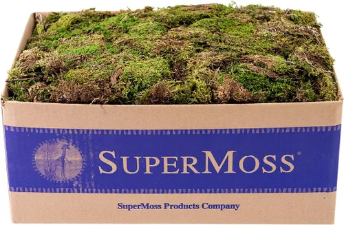 Vista 2 de SuperMoss (21743 Hoja de musgo pequeño (piezas pequeñas) conservadas, verde fresco, 2 onzas