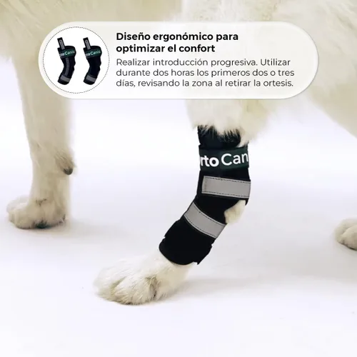 Vista 5 de Ortocanis Férula de Hock para perros - inmoviliza. Protege. Apoya el tobillo - Férulas flexibles extraíbles.