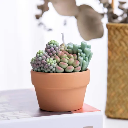 Vista 4 de Surtido suculento Pot vela perfumada para spa decoración del hogar regalo de boda